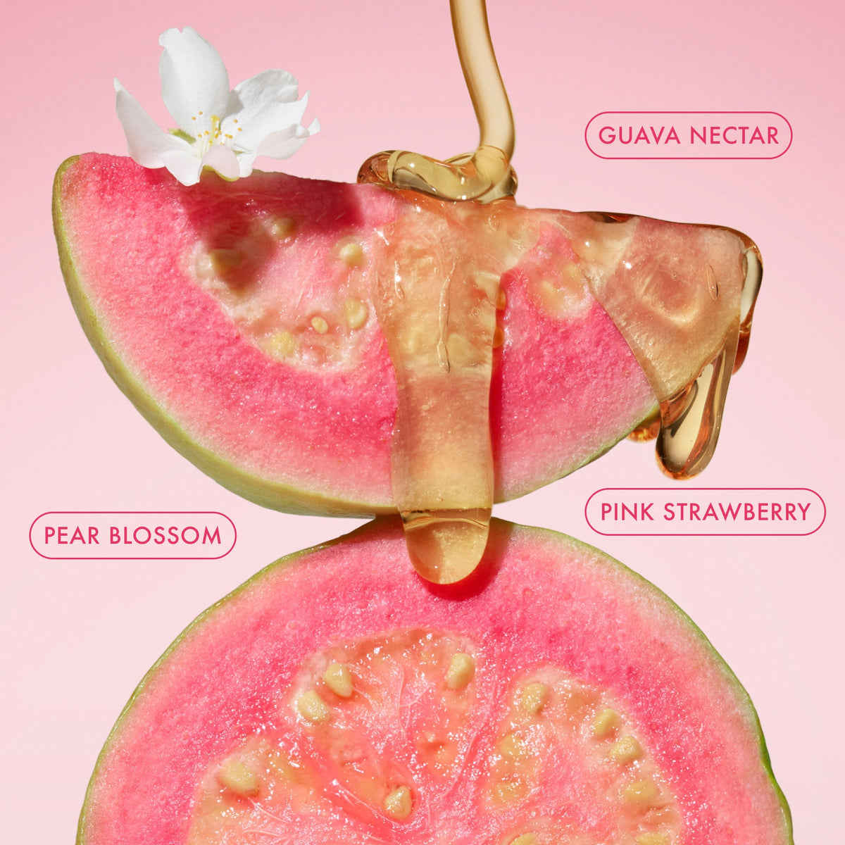 Body Essentials Duo in Pink Guava | TikTok Exclusive